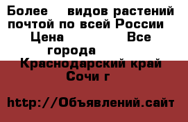 Более200 видов растений почтой по всей России › Цена ­ 100-500 - Все города  »    . Краснодарский край,Сочи г.